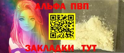 гашик Кингисепп