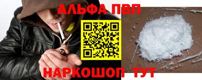 гашик Кингисепп