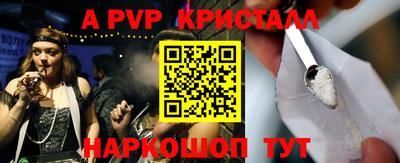 гашик Кингисепп