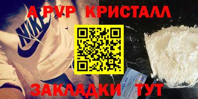 гашик Кингисепп