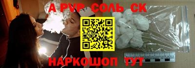 гашик Кингисепп