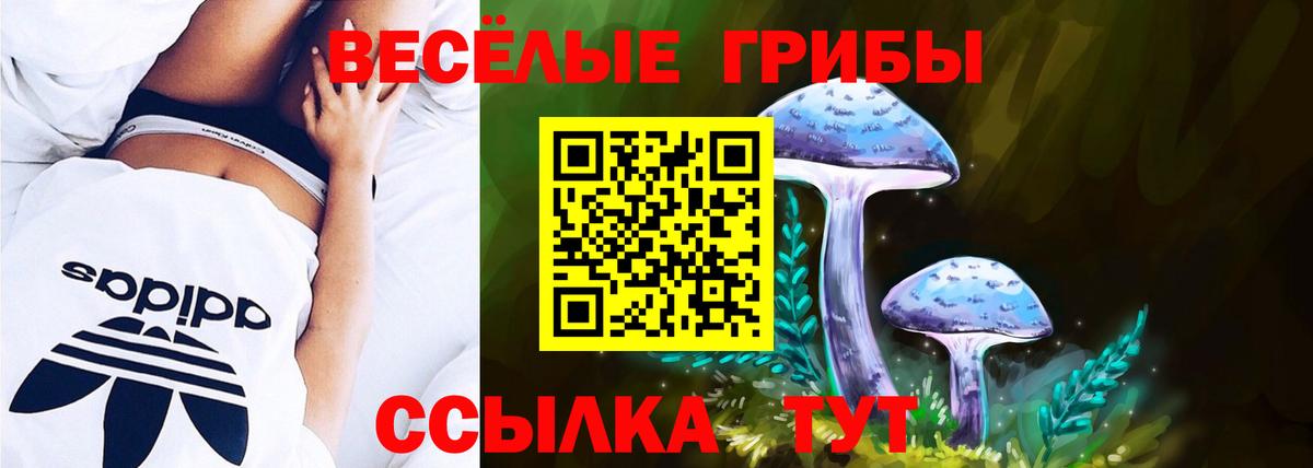 Галлюциногенные грибы GOLDEN TEACHER Волхов